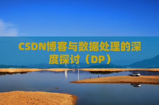 CSDN博客与数据处理的深度探讨（DP）